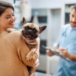 Kastration Hund Auswirkungen und Spätfolgen